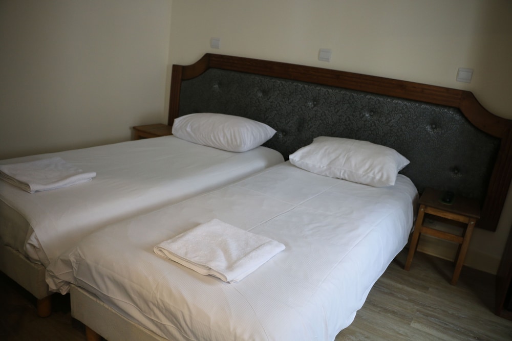 Habitación estándar con 2 camas individuales del hotel Grand Hotel de Clermont
