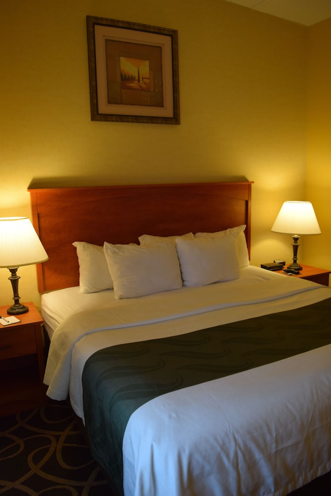 Habitación estándar, 1 cama de matrimonio, accesible para personas con discapacidad, no fumadores del hotel Quality Hotel & Suites Niagara Falls. Foto 1