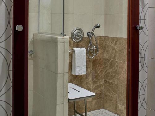 SUITE DE LUJO DE 1 DORMITORIO, 1 Cama King, ACCESIBLE, DUCHA A RASO, SOFÁ CAMA, 45 m² 490 ft² del hotel Sofitel Philadelphia At Rittenhouse Square. Foto 3