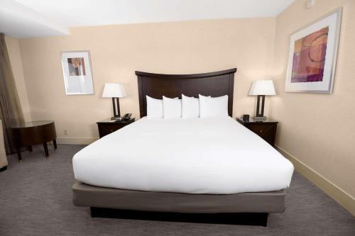 Habitación con vistas al perfil urbano - Con cama extragrande y ducha a ras de suelo adaptada para personas con movilidad reducida y con discapacidad auditiva del hotel Parc 55 San Francisco - A Hilton. Foto 1