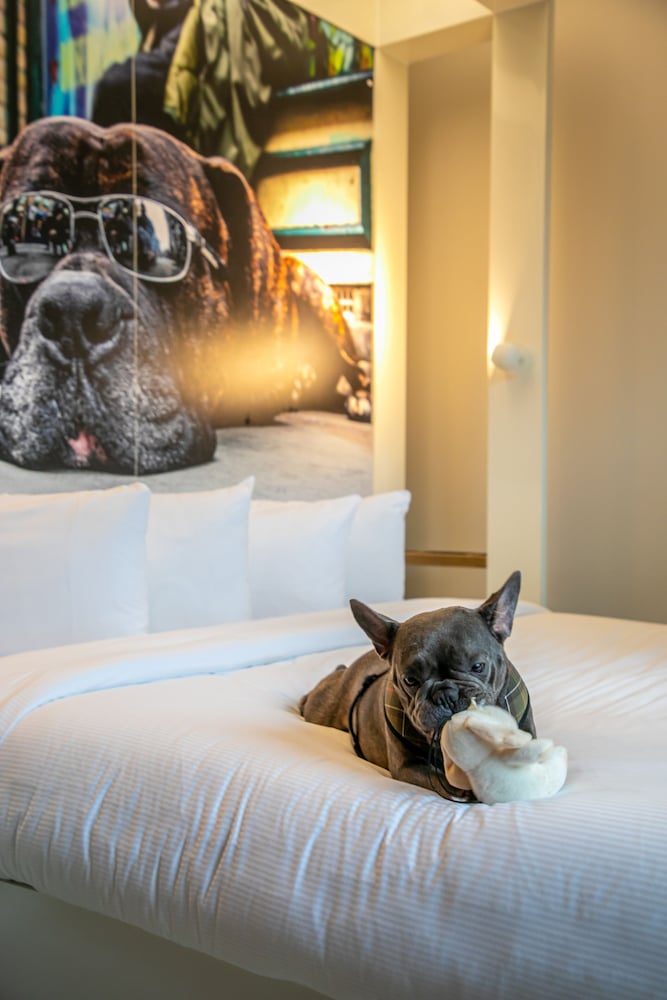 Habitación estándar doble del hotel The Corner London City