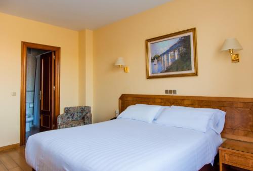 Habitación Estándar - 1 cama grande del hotel Don Carmelo. Foto 1