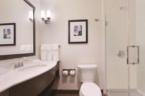 Suite Junior con sofá cama - Cama doble grande del hotel Hilton Garden Inn Rochester Downtown, Ny. Foto 2