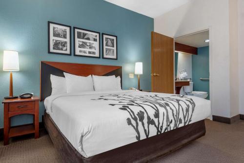 Habitación Estándar con cama extragrande - Adaptada para personas de movilidad reducida - No fumadores del hotel Sleep Inn. Foto 2