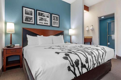 Habitación Estándar - Cama extragrande del hotel Sleep Inn. Foto 2