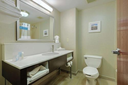 Suite Estudio con cama extragrande y sofá cama - No fumadores del hotel Hampton Inn Batavia. Foto 1