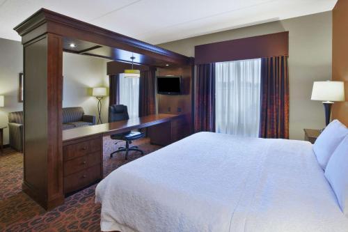 King Studio - Mobility and Hearing Access/Non - Smoking del hotel Hampton Inn Brockport. Foto 1
