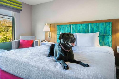 King Room with Sofa Bed and Study - Non - Smoking del hotel Hampton Inn East Aurora. Foto 5