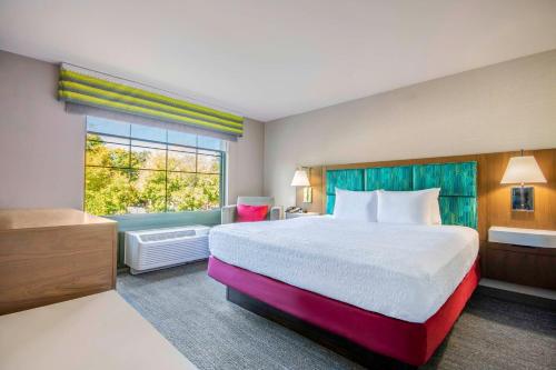 Suite de 1 dormitorio con cama grande y sofá cama - No fumadores del hotel Hampton Inn East Aurora. Foto 3