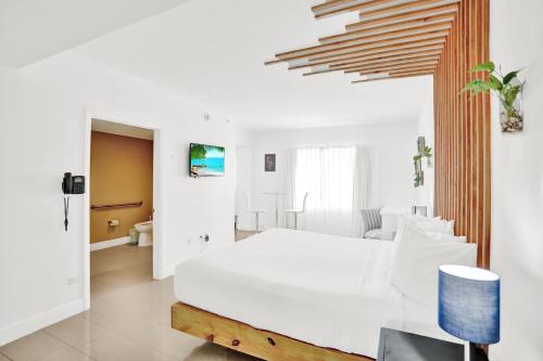 Estudio Deluxe con cama extragrande y cocina - Adaptado para personas con discapacidad del hotel Belleza. Foto 7