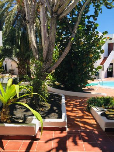 Estudio del hotel Maribel