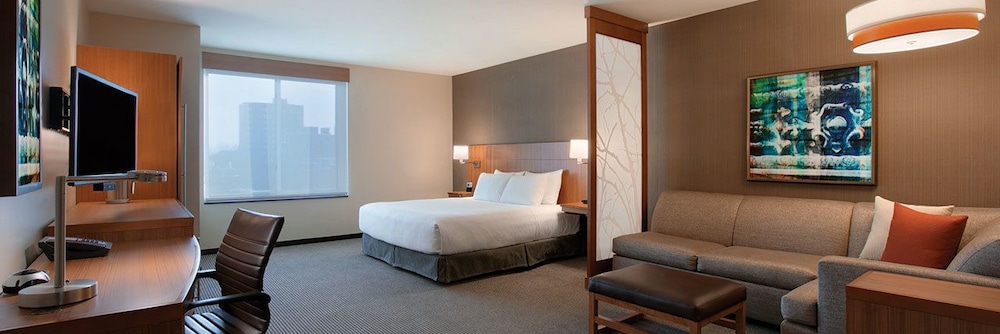 Habitación accesible con cama King/Ducha de acceso lateral (con sofá - cama) del hotel Hyatt Place Chicago-south/university Medical Center