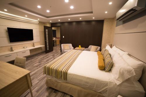 Suite Presidencial del hotel Ojos Del Rio. Foto 3