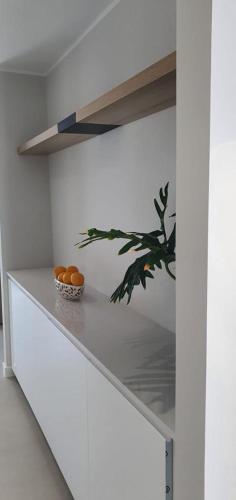 Estudio Superior del hotel Malibu Park. Foto 4