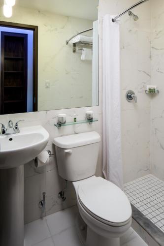 Habitación Orchard Queen con cama grande del hotel Orchard Street Hotel. Foto 2