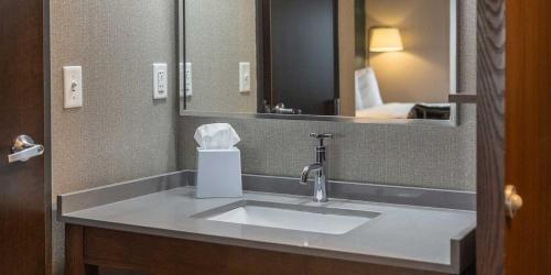 Habitación Doble con cama grande con vistas a la ciudad del hotel Niagara Riverside Resort, Bw Premier Collection