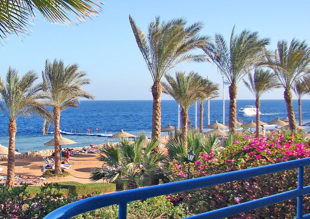 Habitación superior con 1 cama doble o 2 individuales, vistas al mar del hotel Queen Sharm Resort. Foto 7