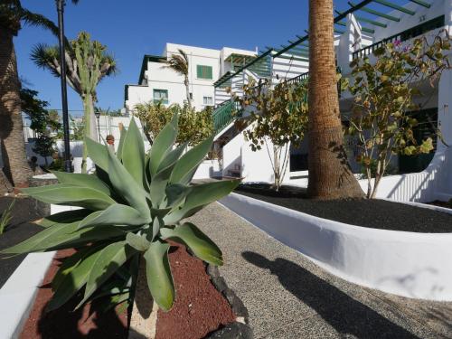 Estudio Superior del hotel Tropicana. Foto 11