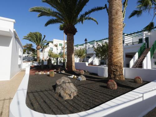 Estudio Superior del hotel Tropicana. Foto 12