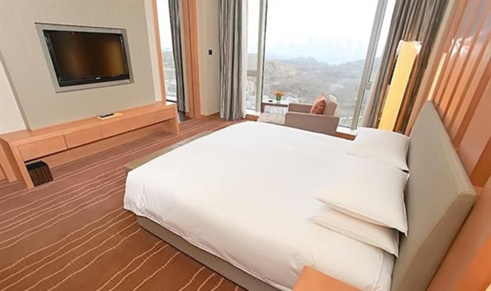1 Cama King con Vistas al Jardín del hotel Hyatt Regency Guiyang. Foto 2