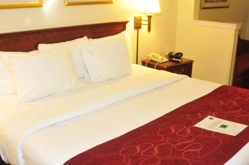 Suite adaptada para personas con movilidad reducida - 1 cama extragrande - No fumadores del hotel Comfort Suites Newark - Harrison