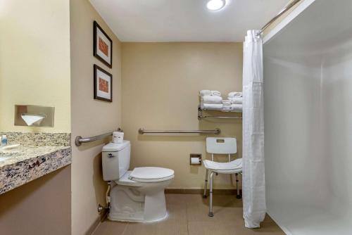 Suite adaptada para personas con movilidad reducida - 1 cama extragrande - No fumadores del hotel Comfort Suites Newark - Harrison. Foto 4