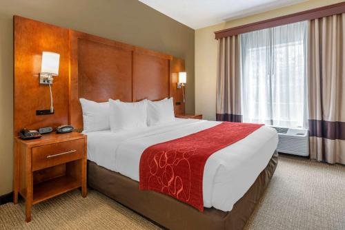 Suite con cama grande - Adaptada para personas con movilidad reducida - No fumadores del hotel Comfort Suites Newark - Harrison. Foto 1
