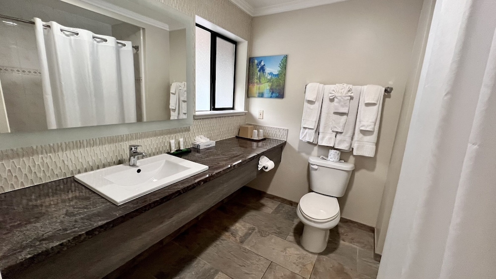 Apartamento familiar clásico de 2 estancias del hotel Yosemite View Lodge. Foto 5