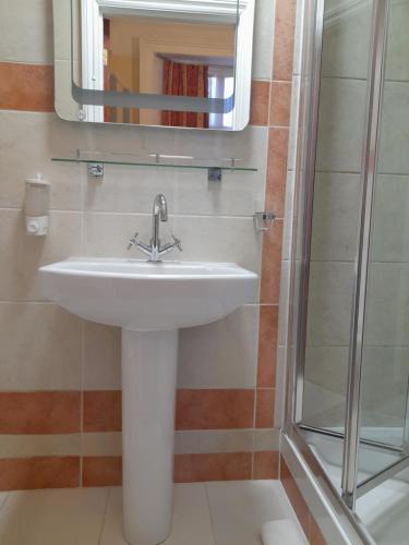 Habitación Doble Estándar - 2 camas del hotel Dolphin. Foto 6