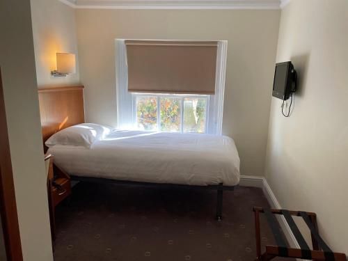 Habitación Individual Estándar del hotel Orchard