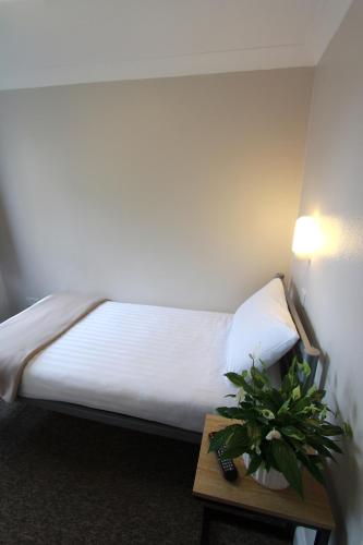 Habitación Individual Superior del hotel Lords. Foto 4