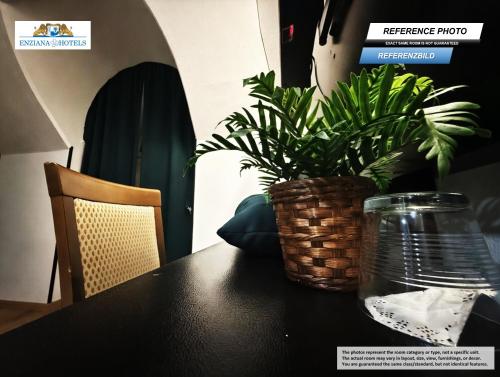 Habitación Individual Estándar del hotel Enziana Wien. Foto 3