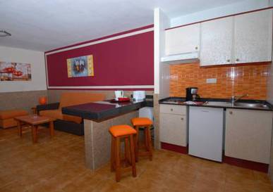 Apartamento 1 habitación del hotel Villa Florida