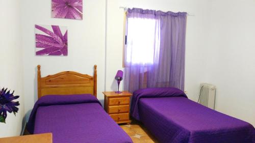 Habitación Doble - 2 camas del hotel Amparo Las Hayas