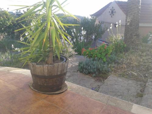 Habitación Doble - 2 camas del hotel Amparo Las Hayas. Foto 2