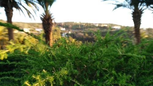 Habitación Doble - 2 camas del hotel Amparo Las Hayas. Foto 22