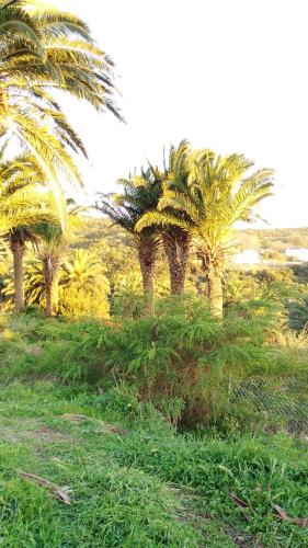Habitación Triple del hotel Amparo Las Hayas. Foto 16