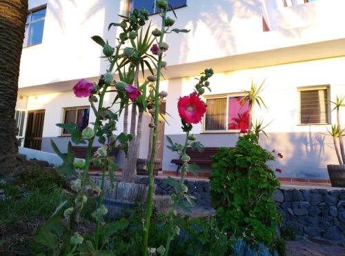 Habitación Doble - 2 camas del hotel Amparo Las Hayas. Foto 4