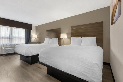 Habitación - No fumadores - Cama grande del hotel BEST WESTERN GATEWAY ADIRONDACK