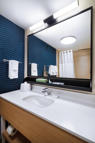 Habitación con bañera adaptada para personas de movilidad reducida/con discapacidad auditiva - 1 cama extragrande del hotel Spark by Hilton Rochester University Area. Foto 3