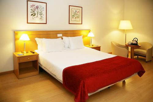 Habitación Prémium con 1 cama doble - No fumadores del hotel Tryp By Wyndham Porto Centro. Foto 2