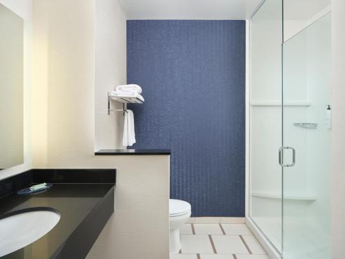 Habitación Deluxe con cama extragrande y bañera adaptada - Apta para personas con discapacidad auditiva y movilidad reducida del hotel FAIRFIELD INN and SUITES NIAGARA FALLS