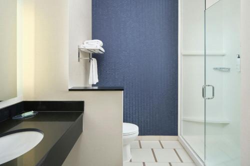 Habitación King con ducha accesible en silla de ruedas - Accesible para personas con movilidad reducida y con discapacidad auditiva del hotel FAIRFIELD INN and SUITES NIAGARA FALLS. Foto 1