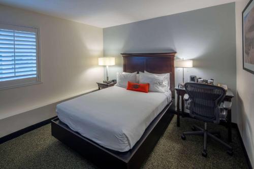 Habitación con cama grande - No fumadores del hotel Collegian Hotel & Suites, Trademark Collection by Wyndham. Foto 1