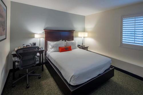 Habitación con cama grande - No fumadores del hotel Collegian Hotel & Suites, Trademark Collection by Wyndham. Foto 3