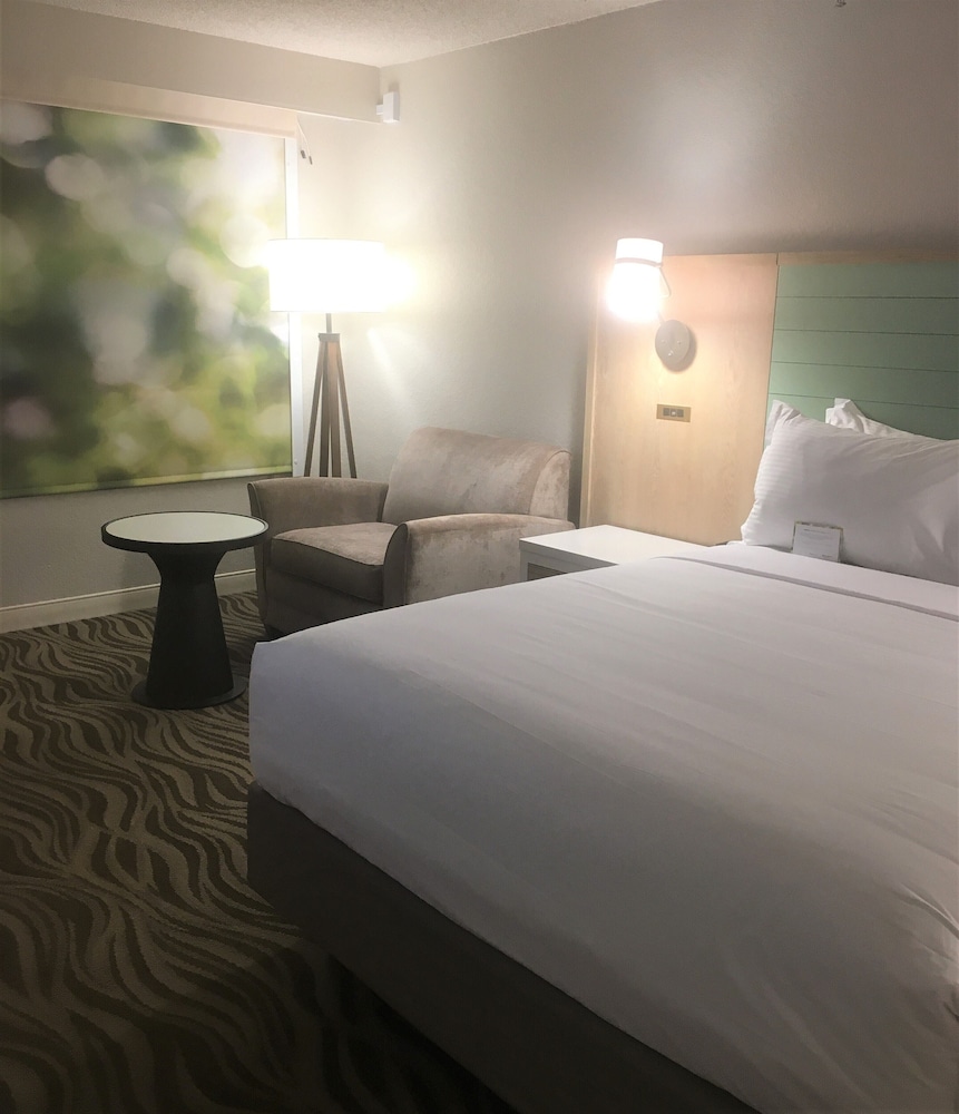 Habitación, 1 cama de matrimonio, accesible para personas con discapacidad (Mobility) del hotel Wyndham Garden Lake Buena Vista Disney Springs. Foto 1