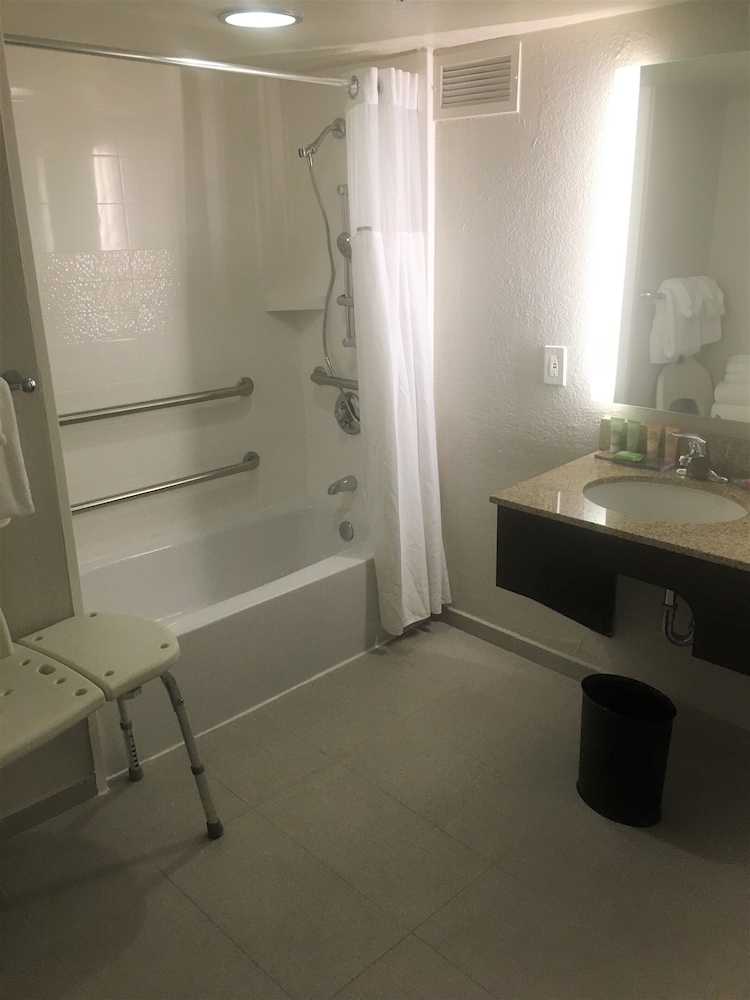 Habitación, 1 cama de matrimonio, accesible para personas con discapacidad (Mobility) del hotel Wyndham Garden Lake Buena Vista Disney Springs. Foto 7
