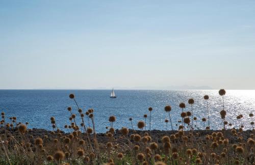 Apartamento de 1 dormitorio del hotel Pierre and Vacances Menorca Cala Blanes. Foto 8