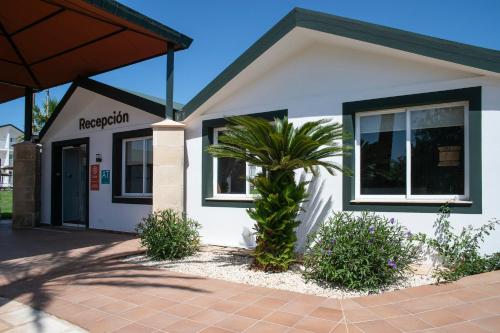 Apartamento de 1 dormitorio del hotel Pierre and Vacances Menorca Cala Blanes. Foto 15
