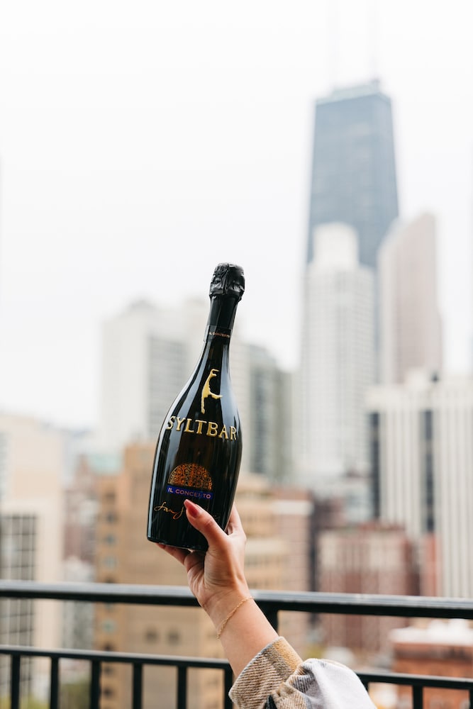 Suite Signature, terraza del hotel The Chicago Hotel Collection Ambassador Gold Coast. Foto 3